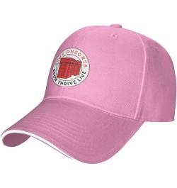 Suny Oneonta Unisex Classic Hat Adjustable Fashion Casquette for Men Women Pink $13.68 Baseball Caps