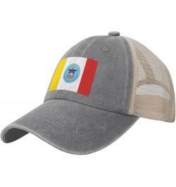 Columbus City Flags Baseball Cap Women Men Mesh Back Hats Vintage Cowboy Hat Dad Caps Gray $10.17 Cowboy Hats