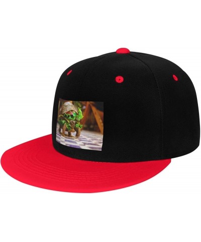 Cute Turtles Snapback Hat for Men Women Baseball Cap Trucker Flat Bill Hats Dad Caps Red $11.39 Baseball Caps