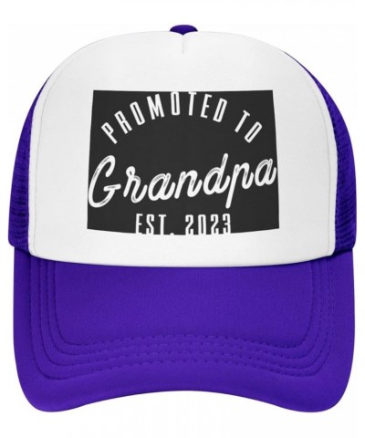 Promoted to Grandpa Est. 2023 Grandfather Gift Baseball Cap Men Hats Women Cowboy hat Dad Hat Trucker hat Black Purple $10.19...