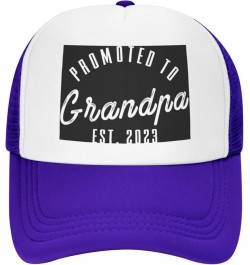 Promoted to Grandpa Est. 2023 Grandfather Gift Baseball Cap Men Hats Women Cowboy hat Dad Hat Trucker hat Black Purple $10.19...