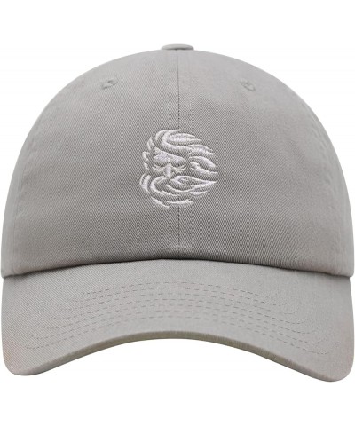 Zeus Premium Dad Hat Embroidered Baseball Cap Greek Light Gray $9.99 Baseball Caps