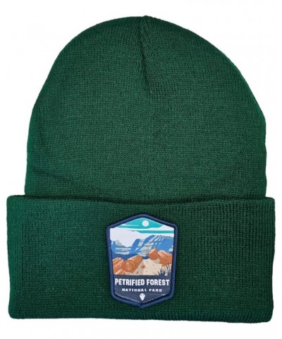 Petrified Forest Beanie w/National Park Patch Green $10.80 Skullies & Beanies