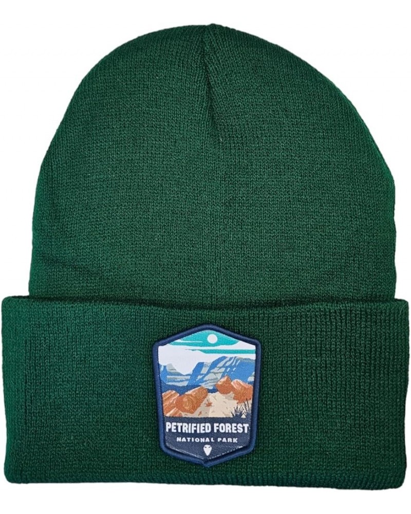 Petrified Forest Beanie w/National Park Patch Green $10.80 Skullies & Beanies