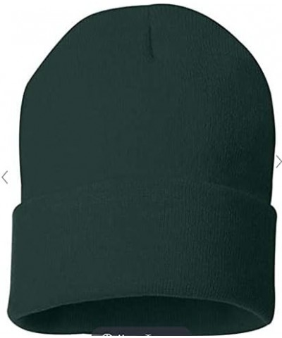 Petrified Forest Beanie w/National Park Patch Green $10.80 Skullies & Beanies