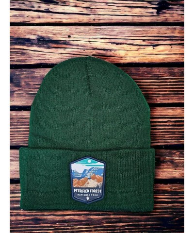 Petrified Forest Beanie w/National Park Patch Green $10.80 Skullies & Beanies