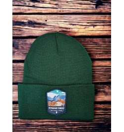 Petrified Forest Beanie w/National Park Patch Green $10.80 Skullies & Beanies