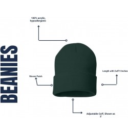 Petrified Forest Beanie w/National Park Patch Green $10.80 Skullies & Beanies