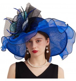 Kentucky Organza Derby Top Hats for Women Sun Visor Cap Ladies Flowers Bride Weeding Fascinators Wide Brim Fedoras Blue 1 $14...