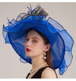 Kentucky Organza Derby Top Hats for Women Sun Visor Cap Ladies Flowers Bride Weeding Fascinators Wide Brim Fedoras Blue 1 $14...