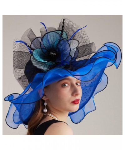 Kentucky Organza Derby Top Hats for Women Sun Visor Cap Ladies Flowers Bride Weeding Fascinators Wide Brim Fedoras Blue 1 $14...