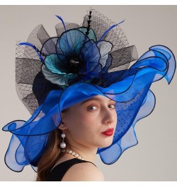 Kentucky Organza Derby Top Hats for Women Sun Visor Cap Ladies Flowers Bride Weeding Fascinators Wide Brim Fedoras Blue 1 $14...