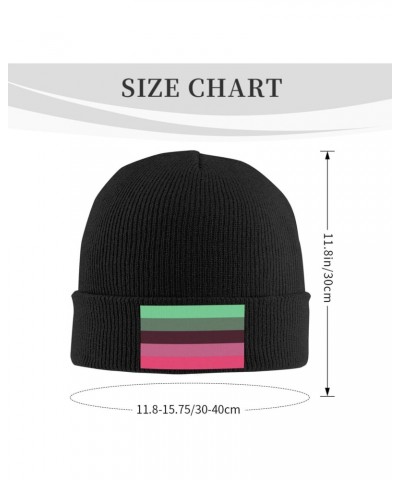 Demisexual Pride Flag Cozy Winter Essential: Hand-Knitted Hat Ultimate Warmth Black $15.79 Skullies & Beanies