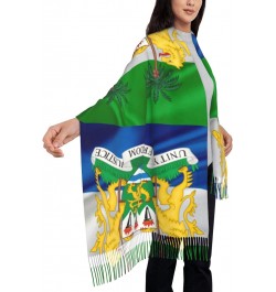 Coat of arms of Sierra Leone Scarf for Women Winter Warm Travel Silk Scarves $19.66 Scarves