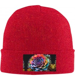 Colorful Succulent Fashionable Adult Knitted Wool Hat,Unisex Brimless Cap,Ideal for Casual Wear $12.35 Skullies & Beanies