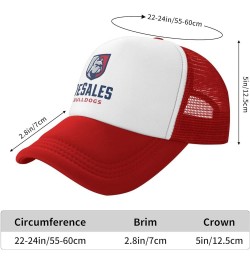 DeSales University Logo Trucker Hats for Both Men and Women - Mesh Baseball Snapback Hats Red $23.81 Baseball Caps