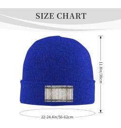 Barn Door1 Print Slouchy Beanie for Men Women Hip-Hop Soft Lightweight Running Beanie Adult Hats Blue $10.07 Skullies & Beanies