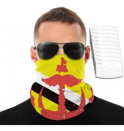 Brunei Flag Bandana Neck Gaiter Face Mask with 5layers Filters $15.03 Balaclavas