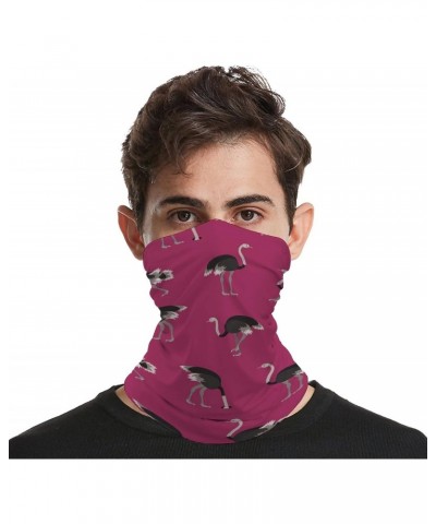 Cartoon Ostrich Pattern Funny Neck Gaiter Face Cover Mask Scarf Windproof Balaclava Sports Outdoor $10.19 Balaclavas