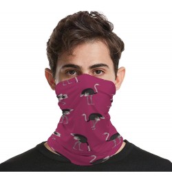 Cartoon Ostrich Pattern Funny Neck Gaiter Face Cover Mask Scarf Windproof Balaclava Sports Outdoor $10.19 Balaclavas