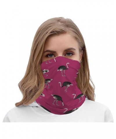 Cartoon Ostrich Pattern Funny Neck Gaiter Face Cover Mask Scarf Windproof Balaclava Sports Outdoor $10.19 Balaclavas