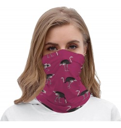 Cartoon Ostrich Pattern Funny Neck Gaiter Face Cover Mask Scarf Windproof Balaclava Sports Outdoor $10.19 Balaclavas