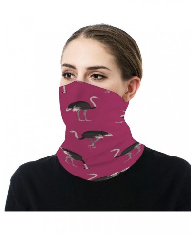 Cartoon Ostrich Pattern Funny Neck Gaiter Face Cover Mask Scarf Windproof Balaclava Sports Outdoor $10.19 Balaclavas