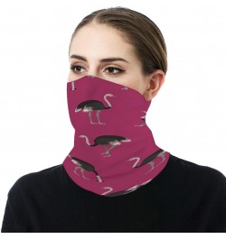 Cartoon Ostrich Pattern Funny Neck Gaiter Face Cover Mask Scarf Windproof Balaclava Sports Outdoor $10.19 Balaclavas