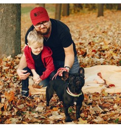 Custom Soft Baseball Cap Dutch Shepherd Dad Embroidery Dogs Dog Twill Cotton Dad Dad Hats for Men & Women Royal Blue Design O...