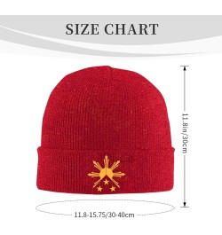 Tribal Philippines Filipino Sun and Stars Flag Cozy Knitted Hat for Winter - Warm Comfort Black Red $10.62 Skullies & Beanies