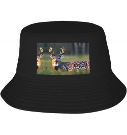 Cute Deer Print Bucket Hat for Women and Men Packable Travel Summer Beach Hat Sun Hats Hiking Hat Cute Deer $13.24 Bucket Hats