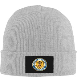 Western New England University Logo Classic Warm Winter Knit Cap Fleece Lined Beanie Hat Gray $13.51 Skullies & Beanies