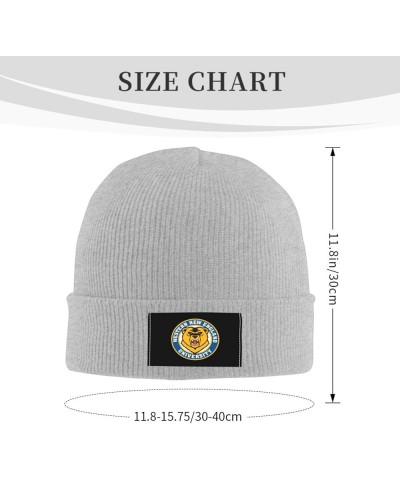 Western New England University Logo Classic Warm Winter Knit Cap Fleece Lined Beanie Hat Gray $13.51 Skullies & Beanies