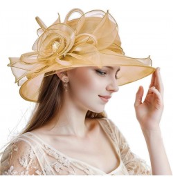 Women Kentucky Derby Organza Fascinator Floral Veil Mesh Sun Hat Church Hat for Bridal Wedding Cocktail Party Nk1-golden $10....