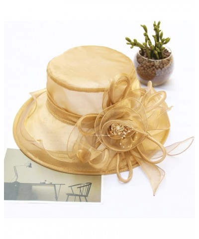 Women Kentucky Derby Organza Fascinator Floral Veil Mesh Sun Hat Church Hat for Bridal Wedding Cocktail Party Nk1-golden $10....