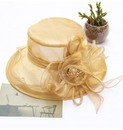 Women Kentucky Derby Organza Fascinator Floral Veil Mesh Sun Hat Church Hat for Bridal Wedding Cocktail Party Nk1-golden $10....