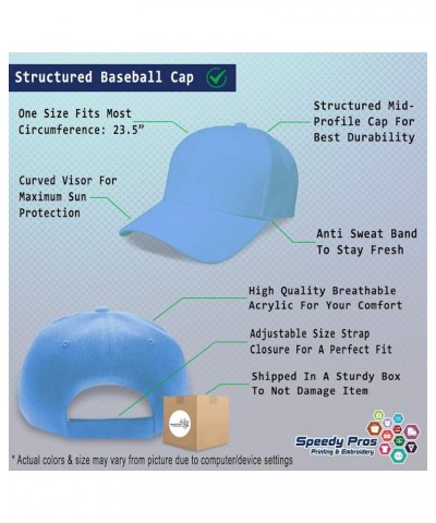 Baseball Cap Home Economist Improve Acrylic Nutrition Dad Hats for Men and Women Light Blue Personalized Text Here $13.50 Bas...