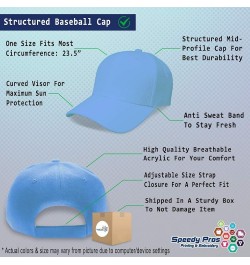 Baseball Cap Home Economist Improve Acrylic Nutrition Dad Hats for Men and Women Light Blue Personalized Text Here $13.50 Bas...