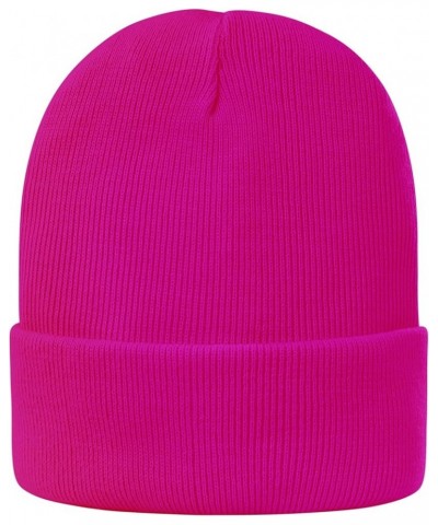 Satin Lined Beanie for Women Silk Lined Beanie Knit Winter Hats for Women Skull Cap Acrylic Soft Warm Beanie Hat Rose $7.79 S...