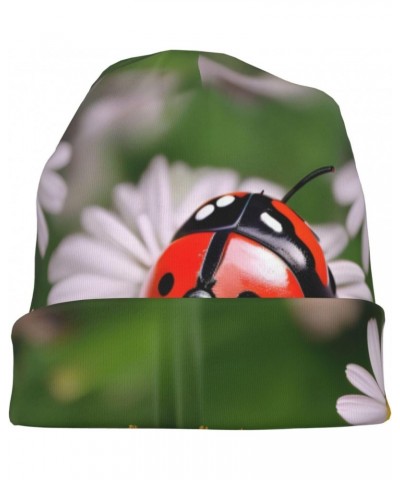 Ladybug Daisy Stylish & Comfortable Knit Hat with Brim - Perfect Winter Wear for Men & Women â€" Ideal Gift for Cold Weather ...