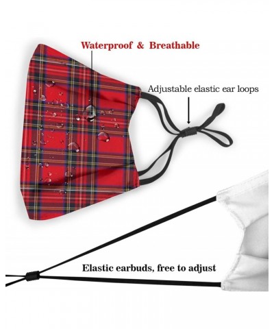 Royal Stewart Tartan Reusable Face Mask with Replaceable Filter Activated Carbon Dust Mask with Two Filters $11.38 Balaclavas