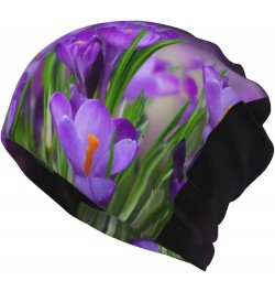 White Daisy Print Adult Multifunction Beanie Hat for Men Women Fashion Scarf Soft Stretch Skull Cap Green Leaves and Purple F...