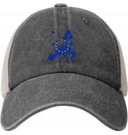 European Union Terrain Map Retro Mesh Baseball Cap Men Women Sport Caps Trucker Hat Deep Heather $12.02 Baseball Caps