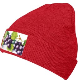 Black Warm Knit Hat Purple and Green Grapes Prints Soft Good Elasticity Suitable for Outdoor Sports Red $10.75 Skullies & Bea...