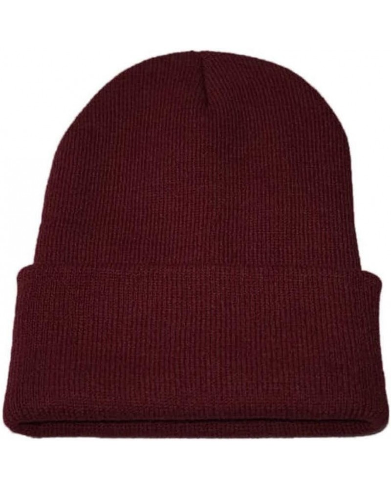 Women's Cuffed Knit Beanie Winter Hats Knit Skull Cap Warm Stocking Hats Running Skull Cap Daily Beanie Hat Wine $8.52 Skulli...