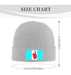 Flag of Koryakia Beanie Hat for Men Women Soft Cozy Skull Cap Winter Warm Knit Hats Gray $12.97 Skullies & Beanies