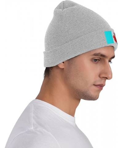 Flag of Koryakia Beanie Hat for Men Women Soft Cozy Skull Cap Winter Warm Knit Hats Gray $12.97 Skullies & Beanies